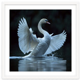 Majestic White Swan Spreading Wings On Water thumbnail
