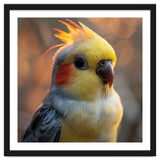 Cockatiel Parrot Portrait With Orange Cheeks thumbnail