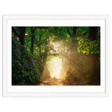 Hare in paradise thumbnail