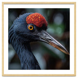Black Crane Bird Head With Red Crown And Raindrops thumbnail