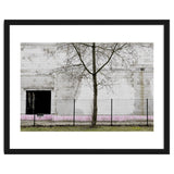 A tree in front of the wall thumbnail