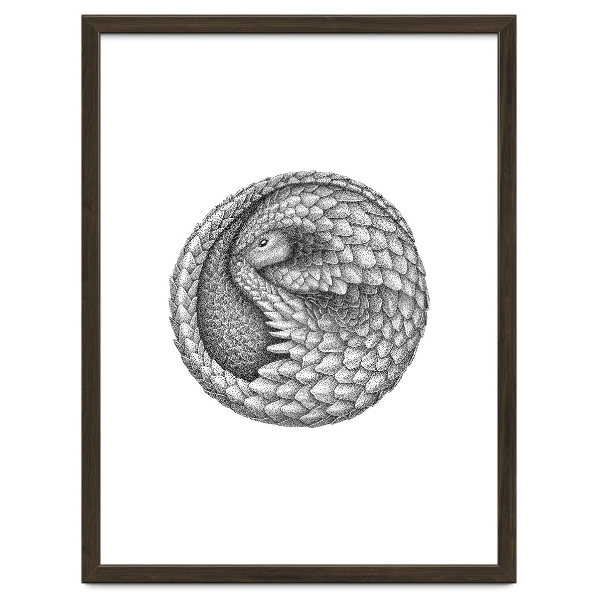 Pangolin no. 2