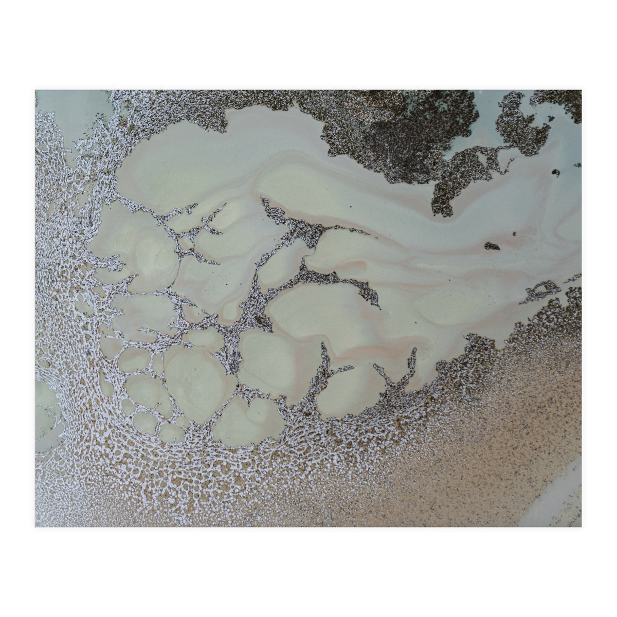 Shifting (Print Only)