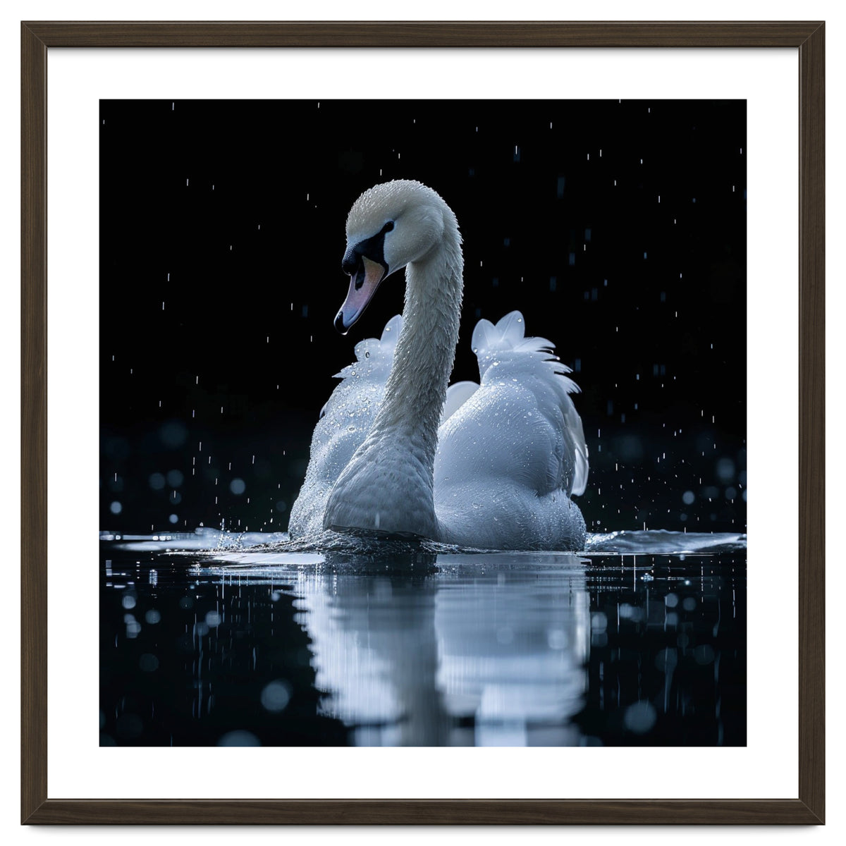 Majestic Swan Swimming In Dark Water