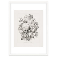 Currier & Ives – Rose of May (1870)