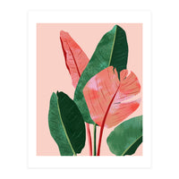 Blush Tropical, Banana Leaves Watercolor Botanical Jungle Painting, Forest Plants Leaves Pink Chic Bohemian (Print Only)