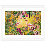 Flamingo Island thumbnail