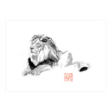 Lion (Print Only) thumbnail