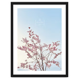 Sakura - cherry blossom thumbnail