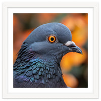 Close Up Of A Pigeon's Head And Neck