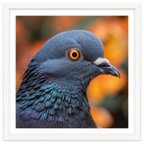 Close Up Of A Pigeon's Head And Neck thumbnail