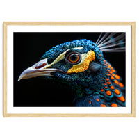 Close Up Of A Peacock Bird Head Eye