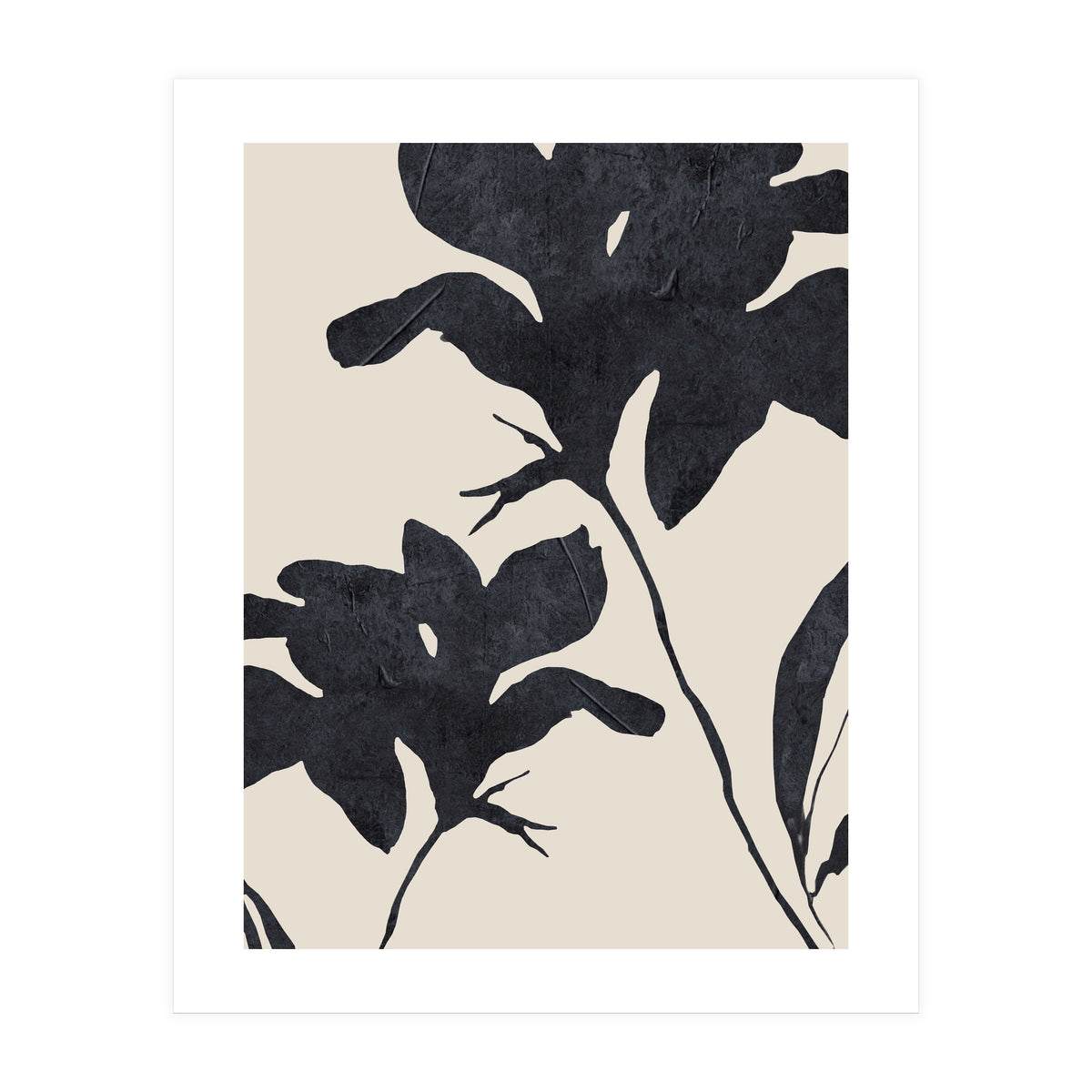 Shadowed Blooms (Print Only)