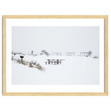 Tables and benches in a snow-covered park thumbnail