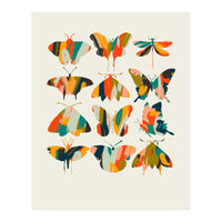 Colorful Butterflies (Print Only)