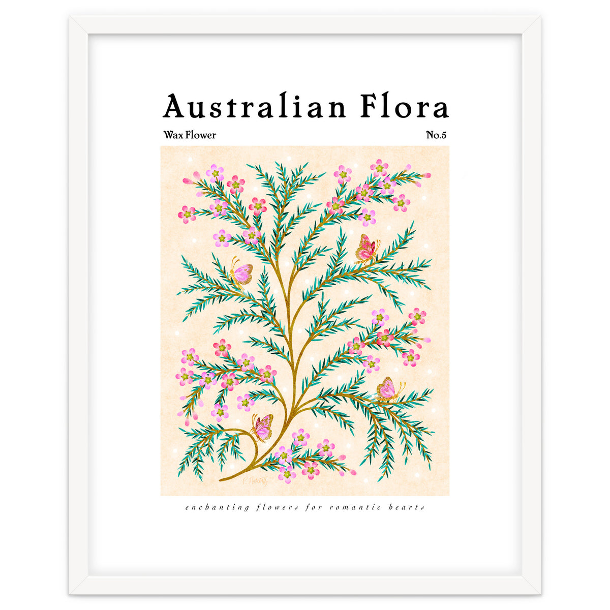 Australian Flora: Wax Flower