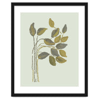 Olivia muted botanical oils