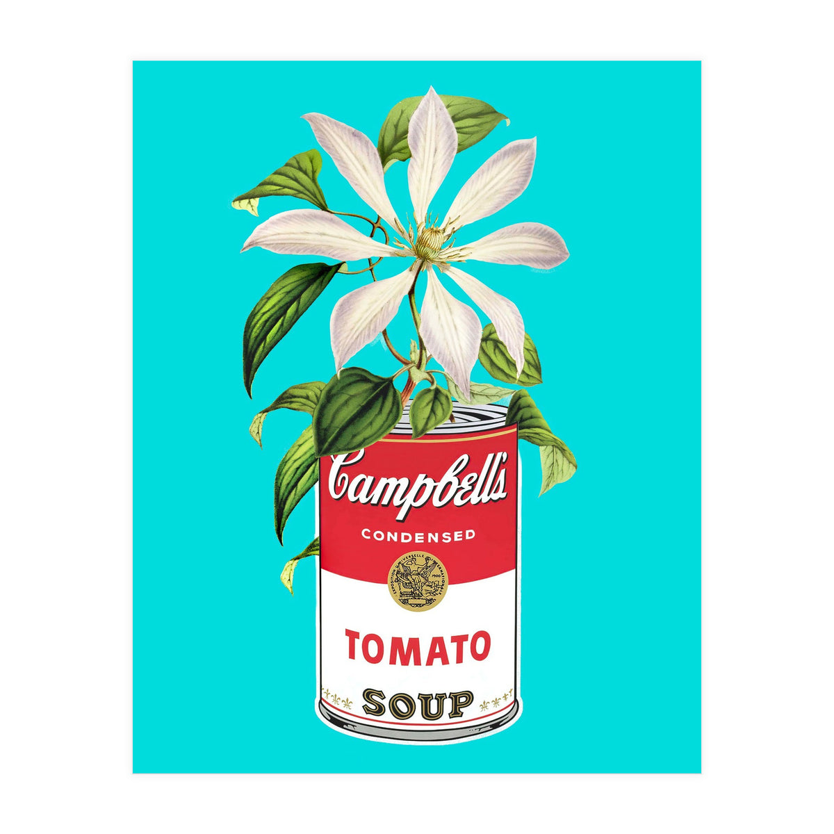 Floral Campbells (Print Only)