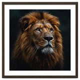 Majestic Lion Portrait In Gentle Rain thumbnail
