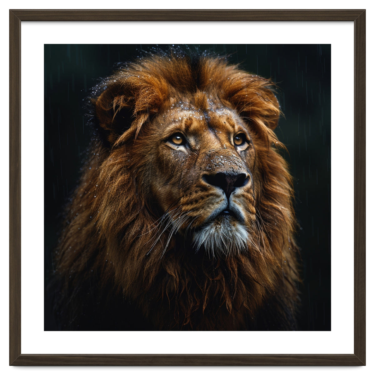 Majestic Lion Portrait In Gentle Rain