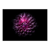 Backyard Flowers No 57 Color Version (Print Only) thumbnail