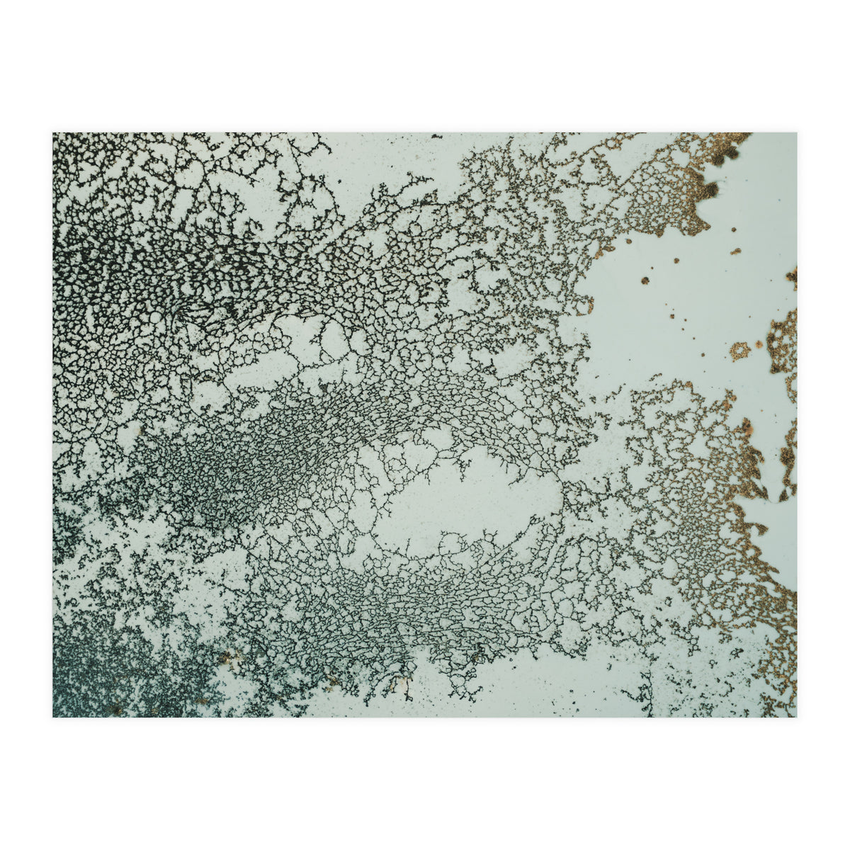 Synchronize (Print Only)