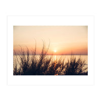 Orange Heatwave 2 (Print Only)