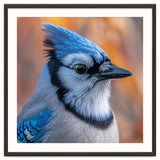 Blue Jay Bird Close Up Detailed Portrait thumbnail