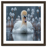 Swan Floating Serene On Calm Water thumbnail