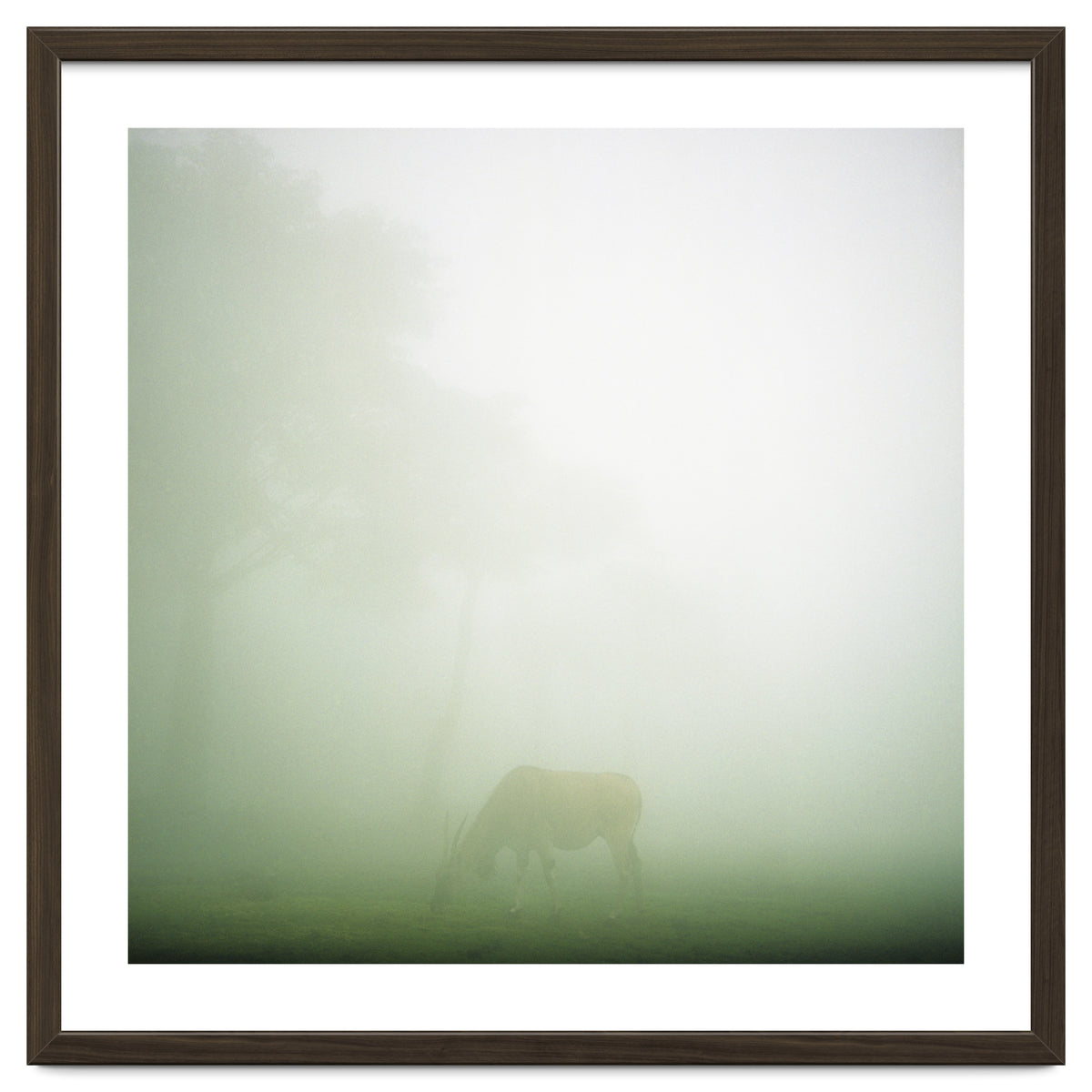 Silence of breath - 09