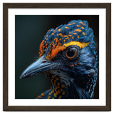Close Up Of A Colorful Bird Head And Eye thumbnail