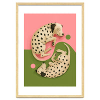 Yin And Yang Dalmatians