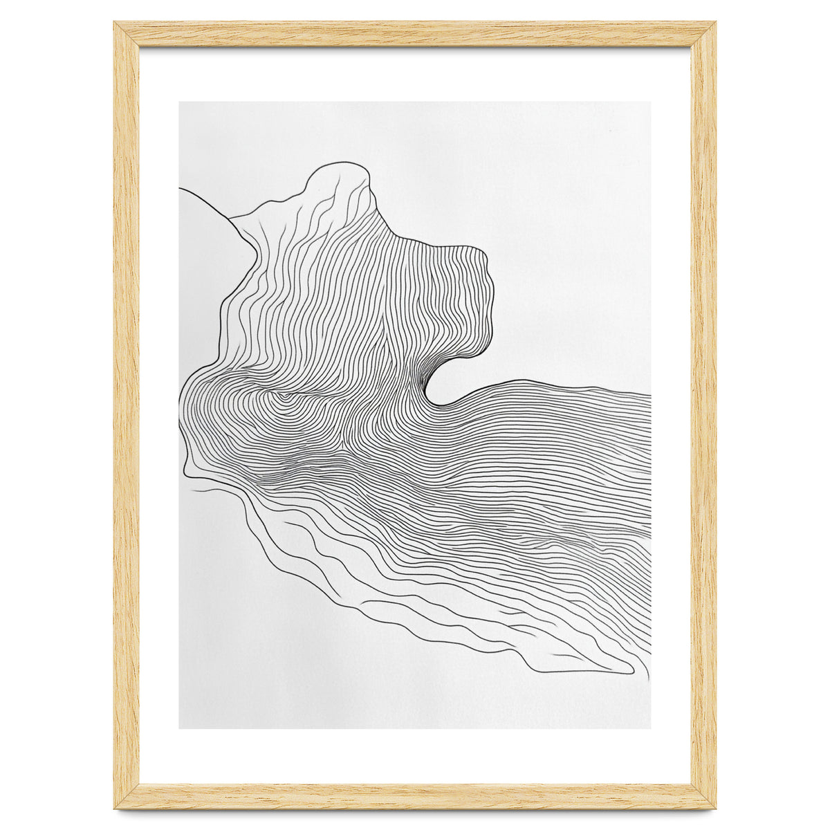 Abstract Black And White Organic Flowing Lines Pattern