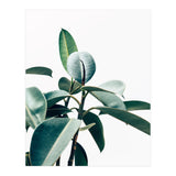 L'amour de ma vie #society6 #decor #buyart (Print Only) thumbnail