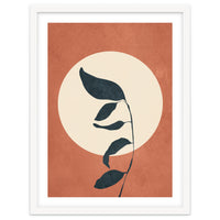 Summer Leaves