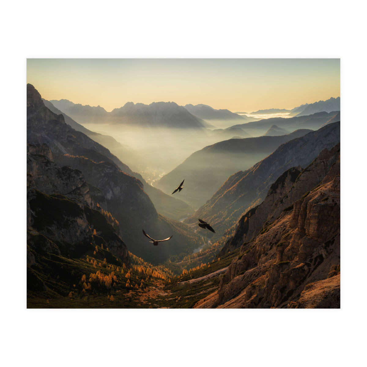 Fly away (Print Only)