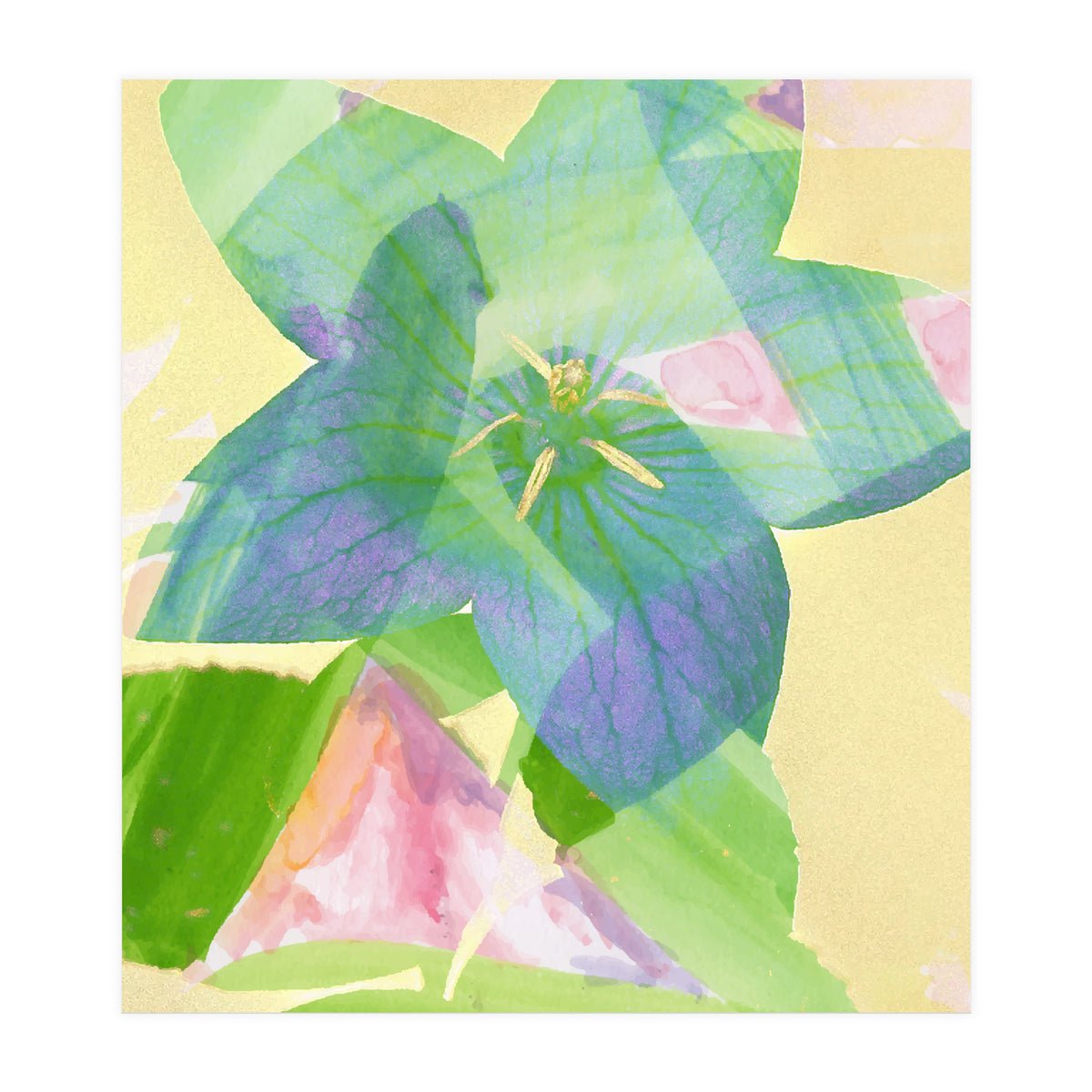 A Peaceful World (Print Only)