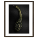 Gourds No 9 Color Version thumbnail