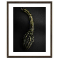 Gourds No 9 Color Version