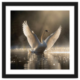 Graceful Swan Spreading Wings On Sparkling Water thumbnail