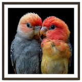 Two Lovebirds Nuzzle Together thumbnail