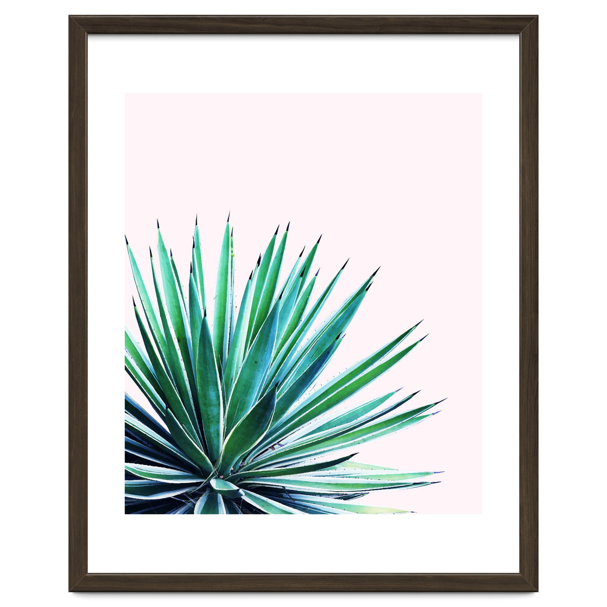 Agave Love #society6 #decor #buyart