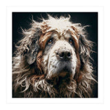 Old Dog 01 (Print Only) thumbnail