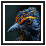 Close Up Of A Colorful Bird Head And Eye thumbnail
