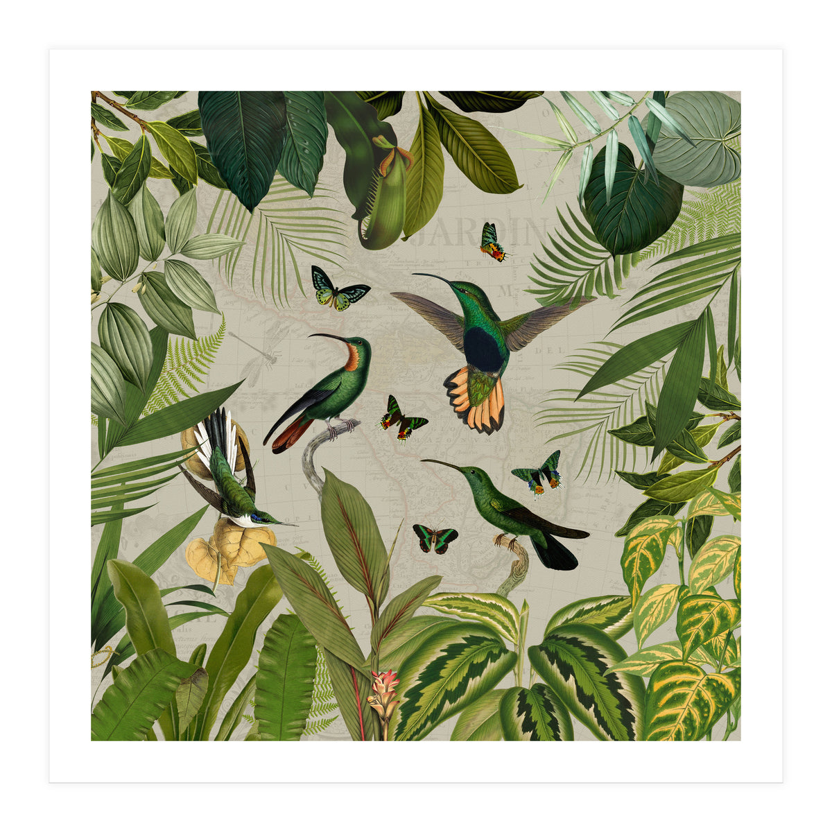 Vintage Exotic Hummingbirds Jungle (Print Only)