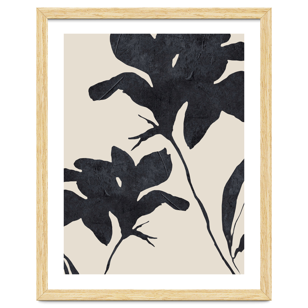 Shadowed Blooms