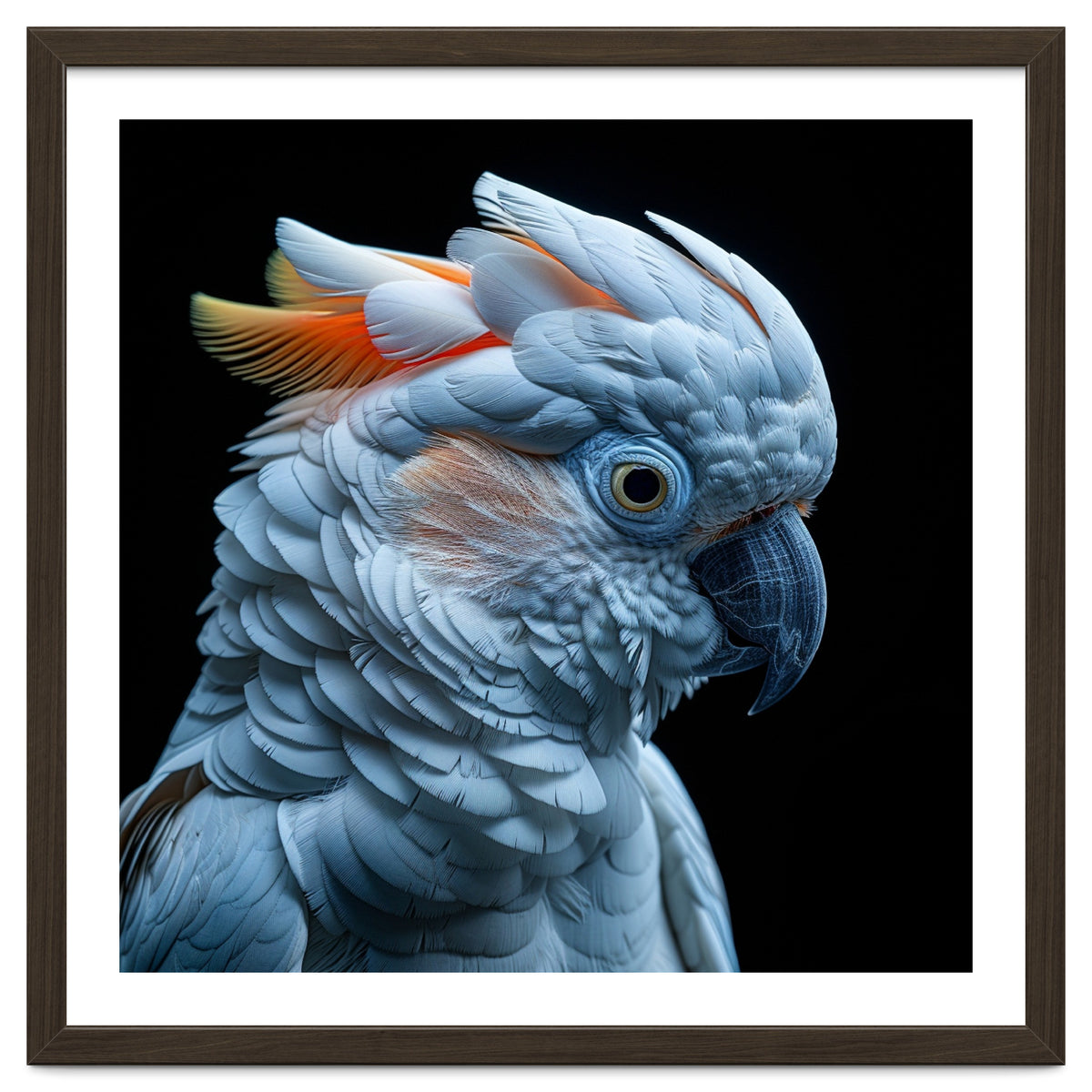 Close Up Of A Cockatoo Parrot Head