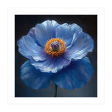 Meconopsis | Sapphire Serenade (Print Only) thumbnail