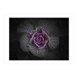 Backyard Flowers No 108 Color Version (Print Only) thumbnail