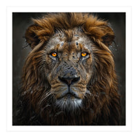 Majestic Lion With Glowing Eyes Close Up Portrait (Print Only)